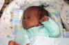Little Ethan.jpg (342271 bytes)