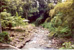 brook1.jpg (159293 bytes)